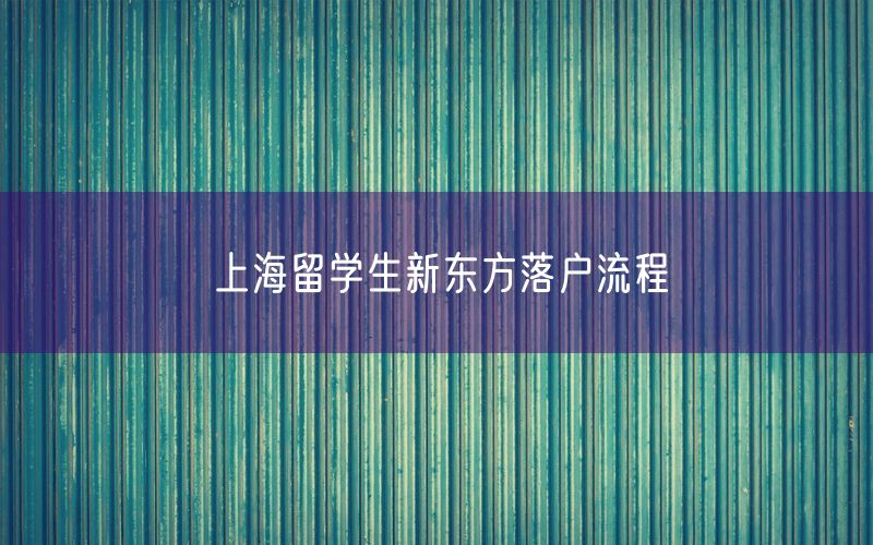 上海留学生新东方落户流程