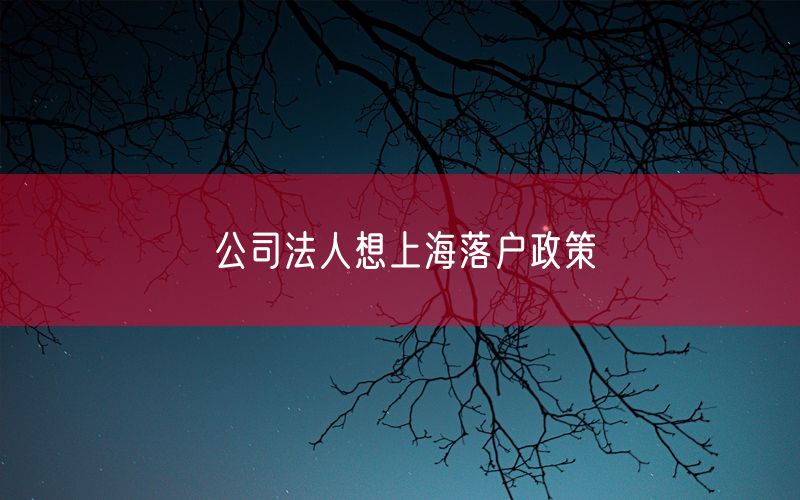 公司法人想上海落户政策