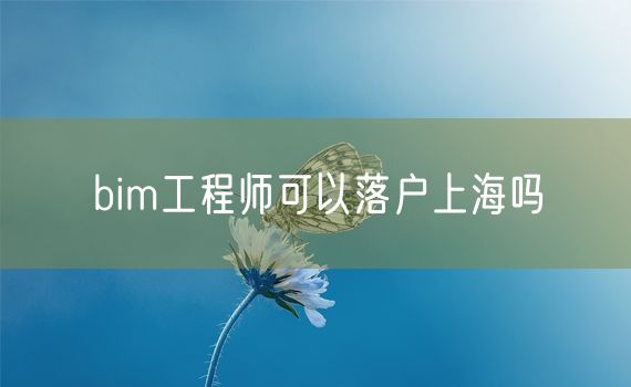 bim工程师可以落户上海吗