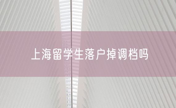 上海留学生落户掉调档吗