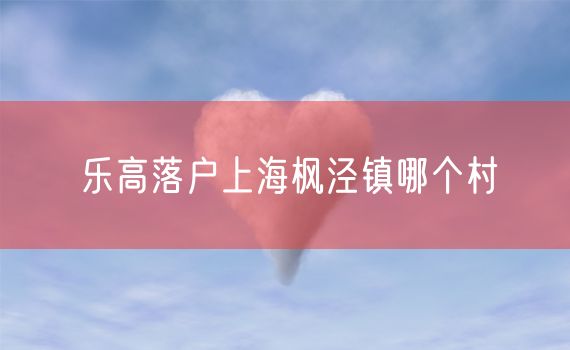 乐高落户上海枫泾镇哪个村