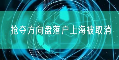 抢夺方向盘落户上海被取消