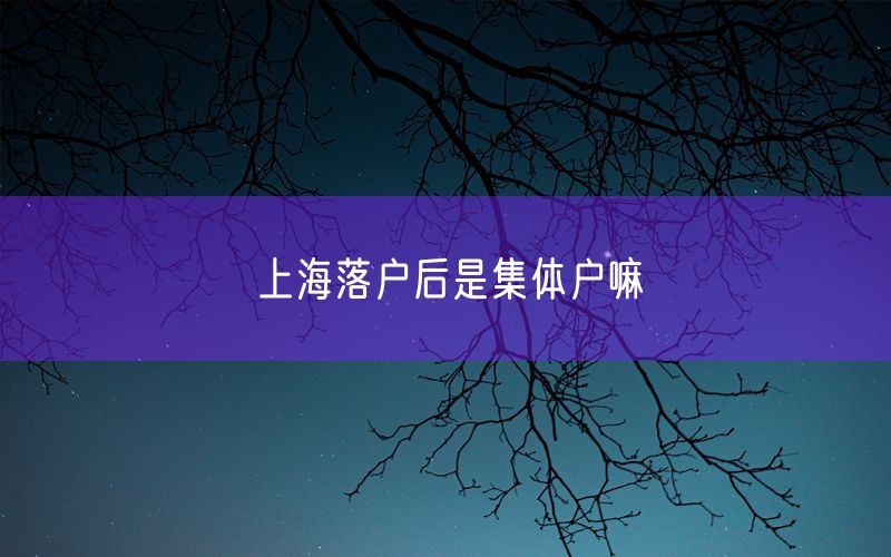 上海落户后是集体户嘛