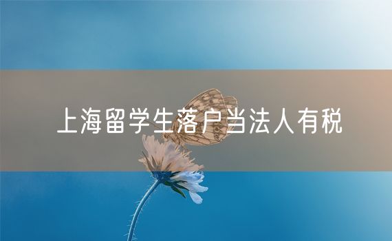 上海留学生落户当法人有税