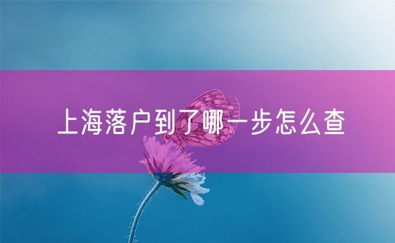 上海落户到了哪一步怎么查