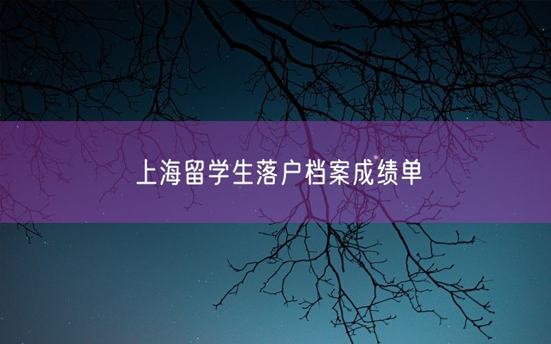 上海留学生落户档案成绩单