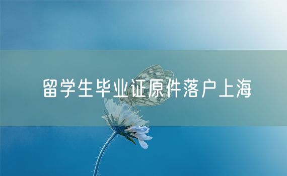 留学生毕业证原件落户上海