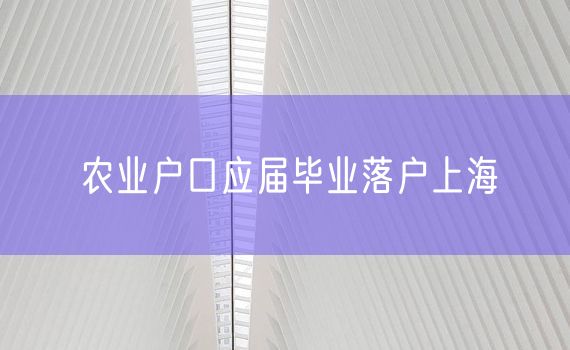 农业户口应届毕业落户上海