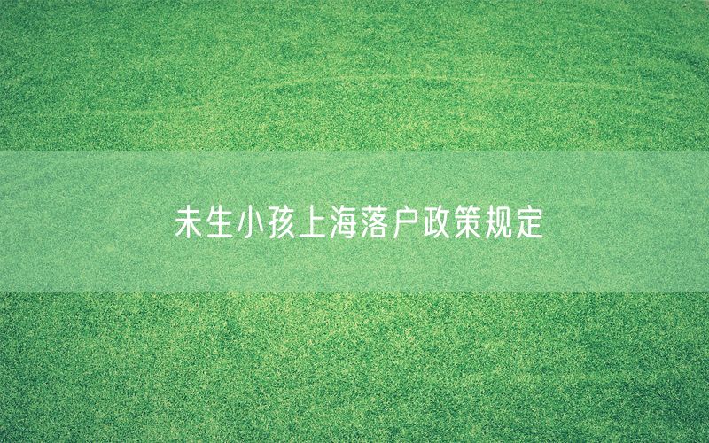 未生小孩上海落户政策规定