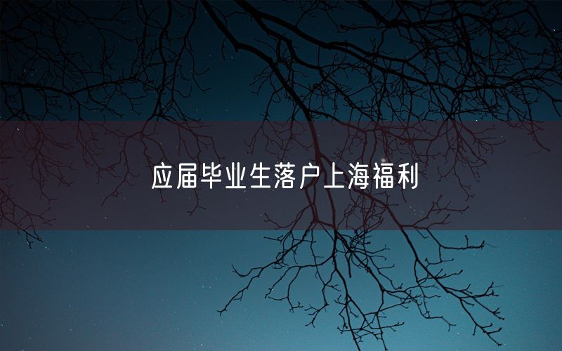 应届毕业生落户上海福利