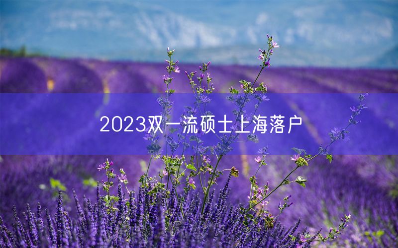 2023双一流硕士上海落户