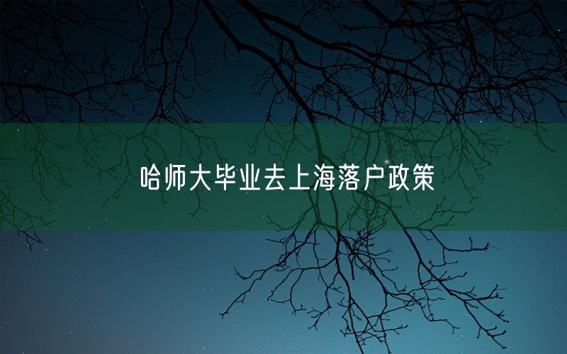 哈师大毕业去上海落户政策