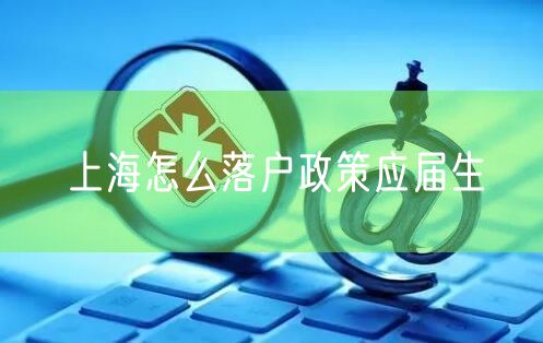 上海怎么落户政策应届生