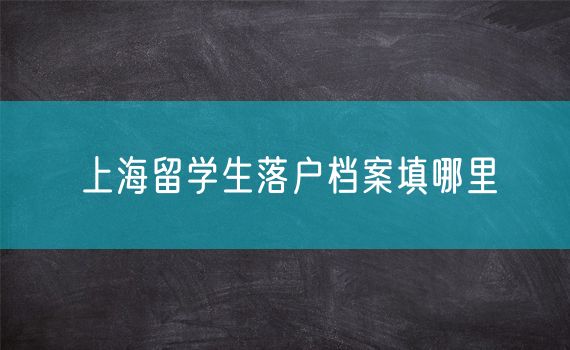 上海留学生落户档案填哪里