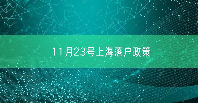 11月23号上海落户政策