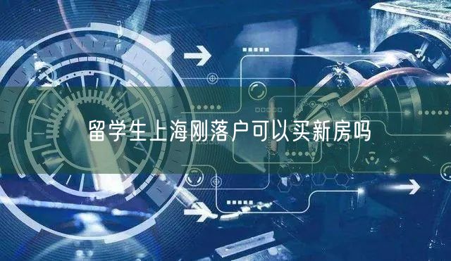 留学生上海刚落户可以买新房吗