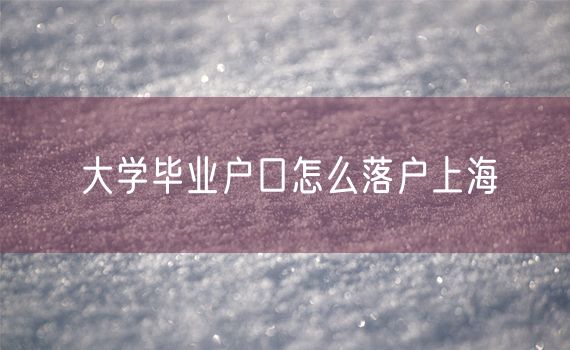 大学毕业户口怎么落户上海