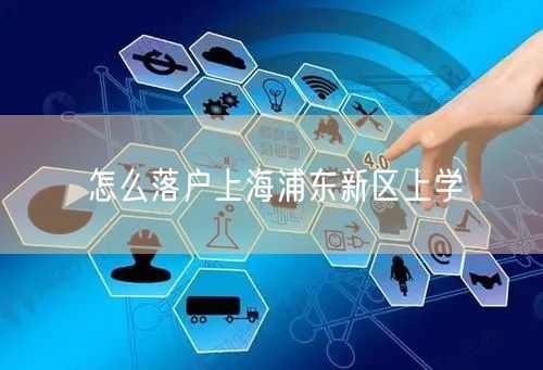 怎么落户上海浦东新区上学