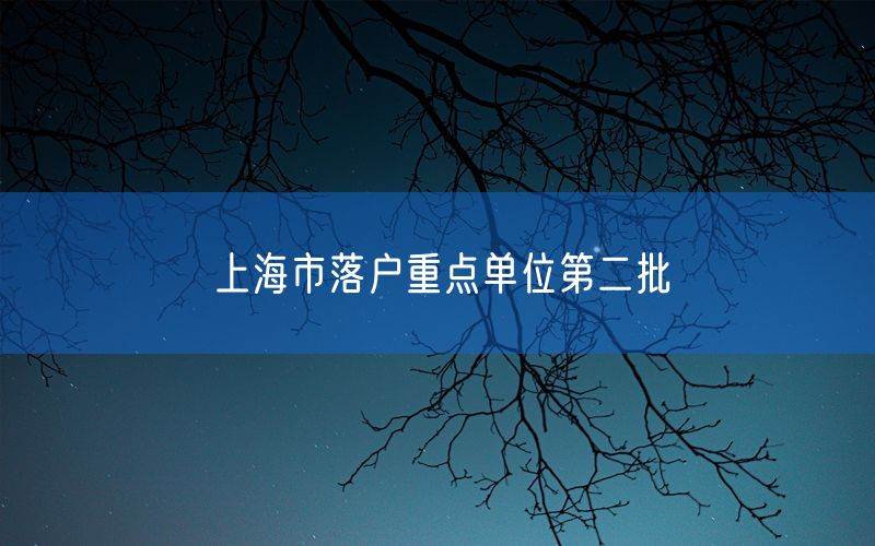 上海市落户重点单位第二批