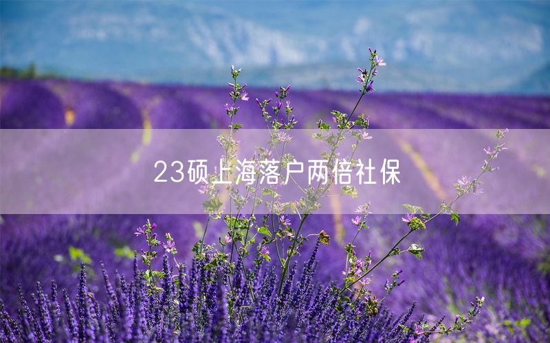 23硕上海落户两倍社保