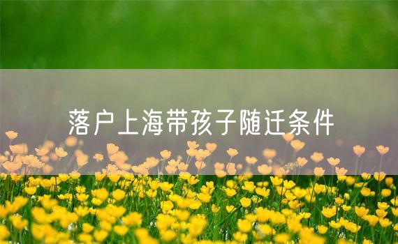 落户上海带孩子随迁条件