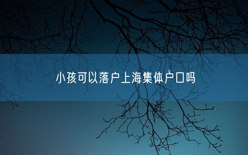 小孩可以落户上海集体户口吗