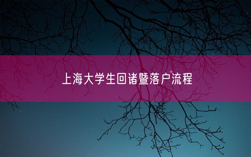 上海大学生回诸暨落户流程