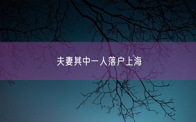 夫妻其中一人落户上海