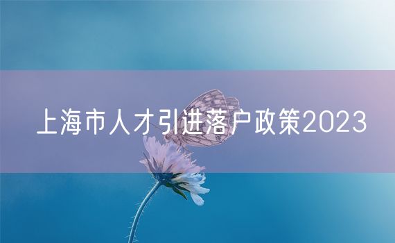 上海市人才引进落户政策2023