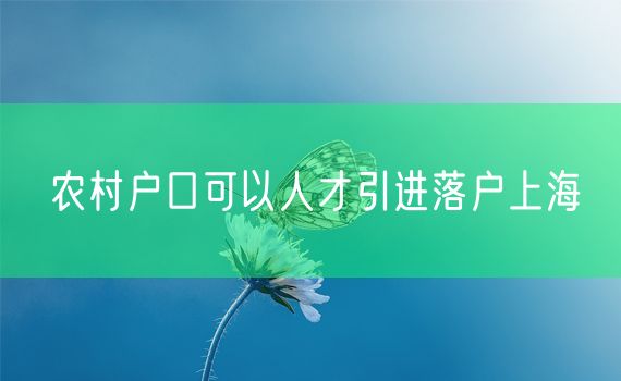 农村户口可以人才引进落户上海