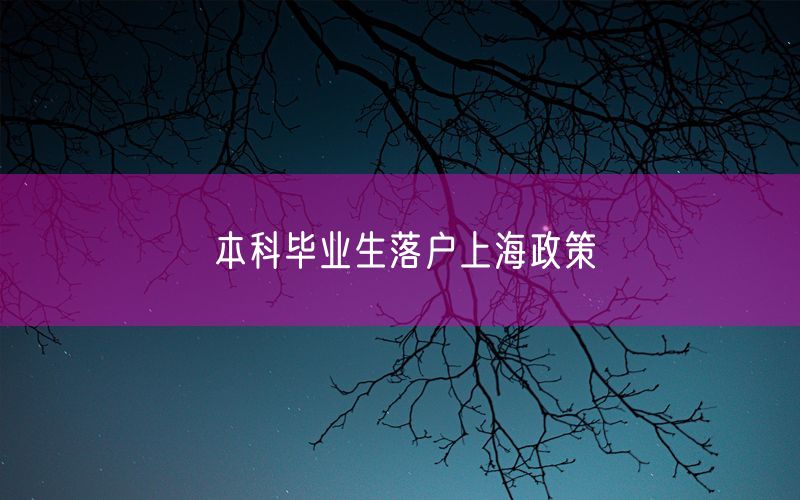 本科毕业生落户上海政策