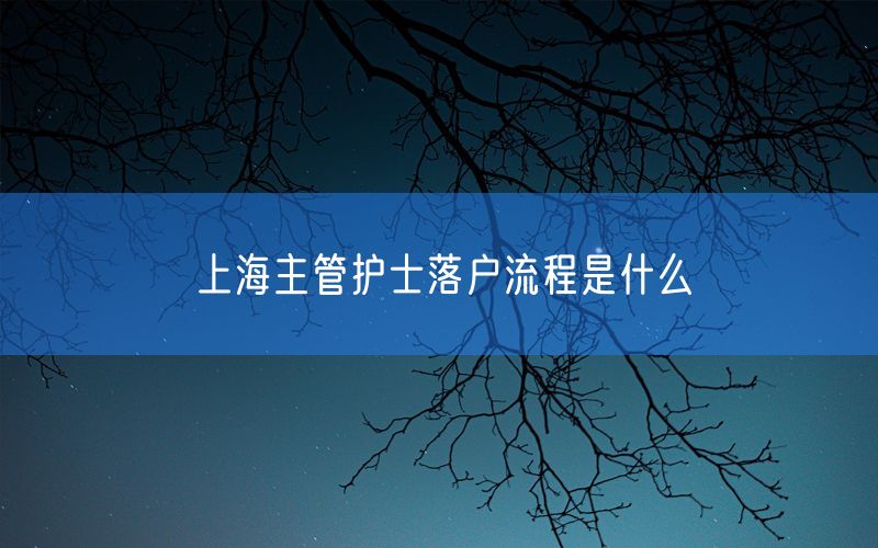 上海主管护士落户流程是什么