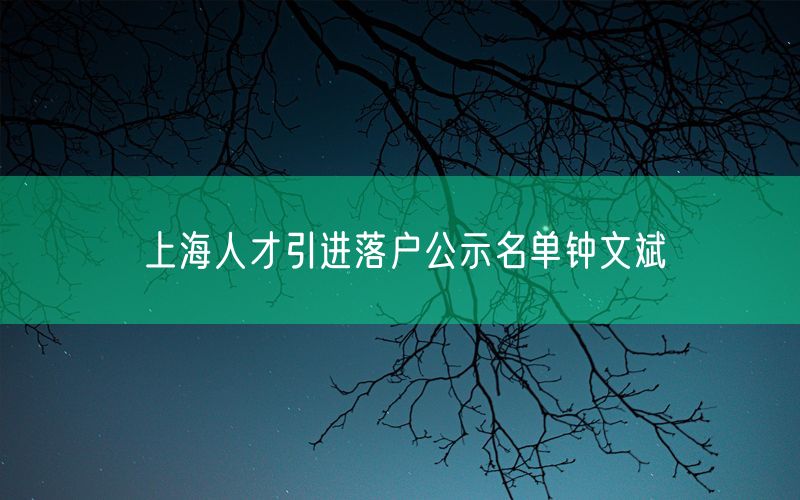 上海人才引进落户公示名单钟文斌