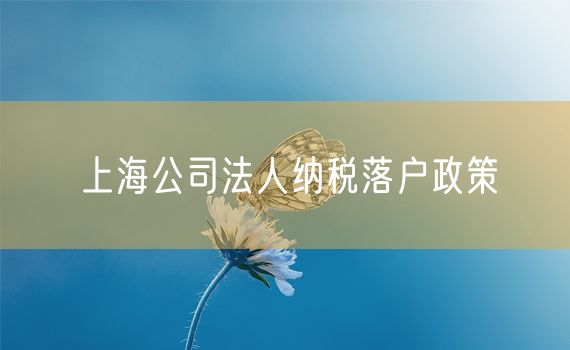 上海公司法人纳税落户政策