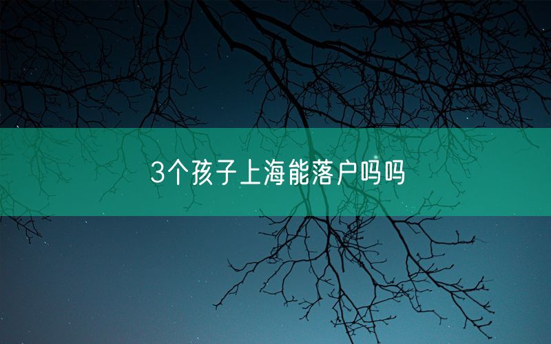 3个孩子上海能落户吗吗