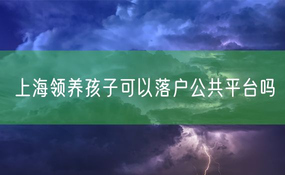 上海领养孩子可以落户公共平台吗