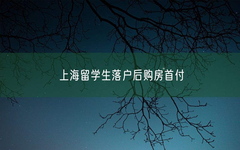 上海留学生落户后购房首付