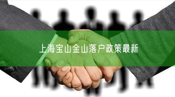 上海宝山金山落户政策最新