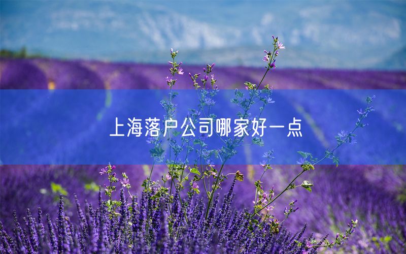 上海落户公司哪家好一点