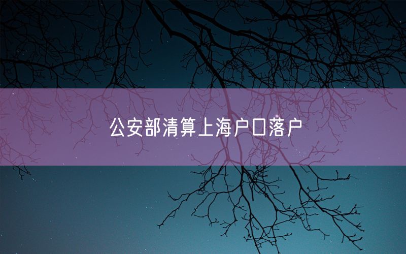 公安部清算上海户口落户