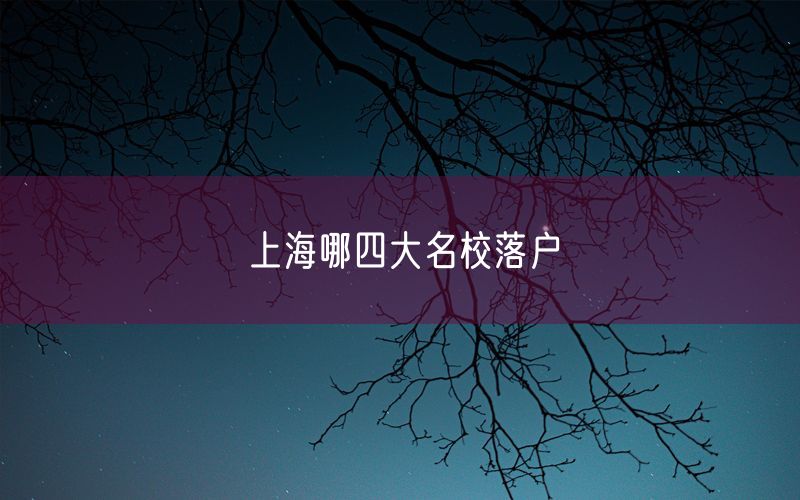 上海哪四大名校落户