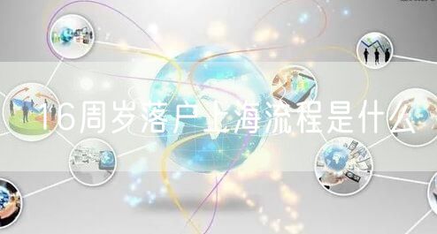 16周岁落户上海流程是什么