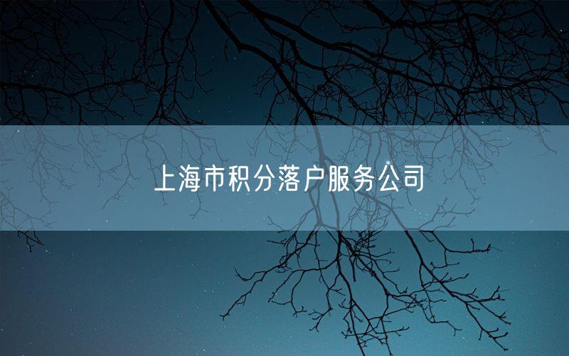 上海市积分落户服务公司