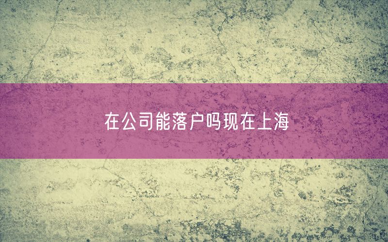 在公司能落户吗现在上海