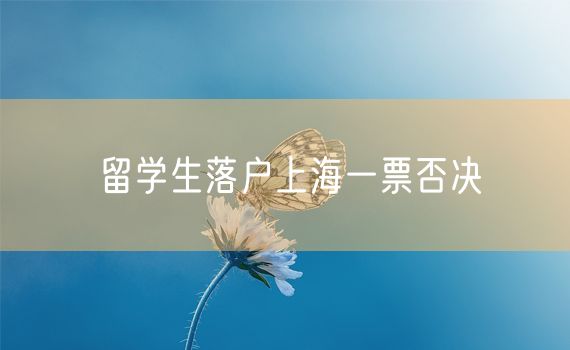 留学生落户上海一票否决