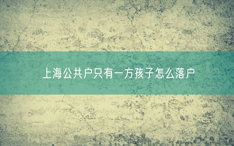 上海公共户只有一方孩子怎么落户