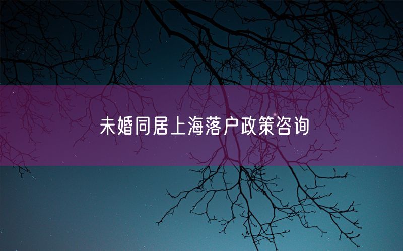 未婚同居上海落户政策咨询