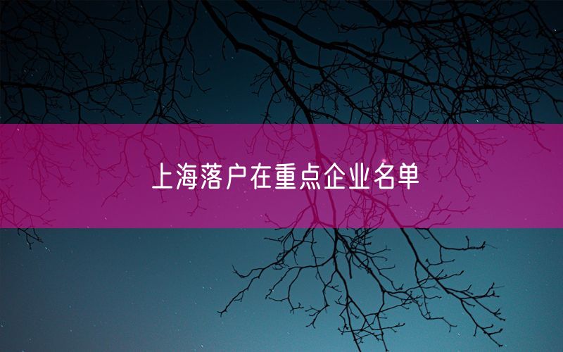 上海落户在重点企业名单