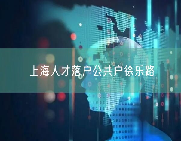 上海人才落户公共户徐乐路