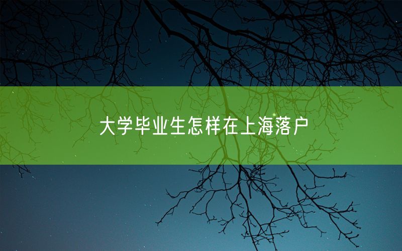 大学毕业生怎样在上海落户